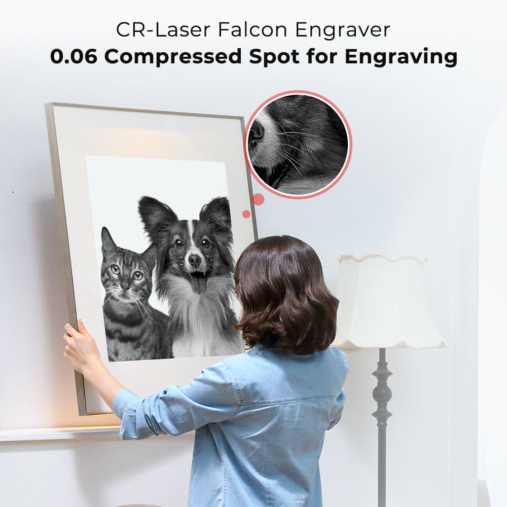 10W CR-Laser Falcon Engraver
